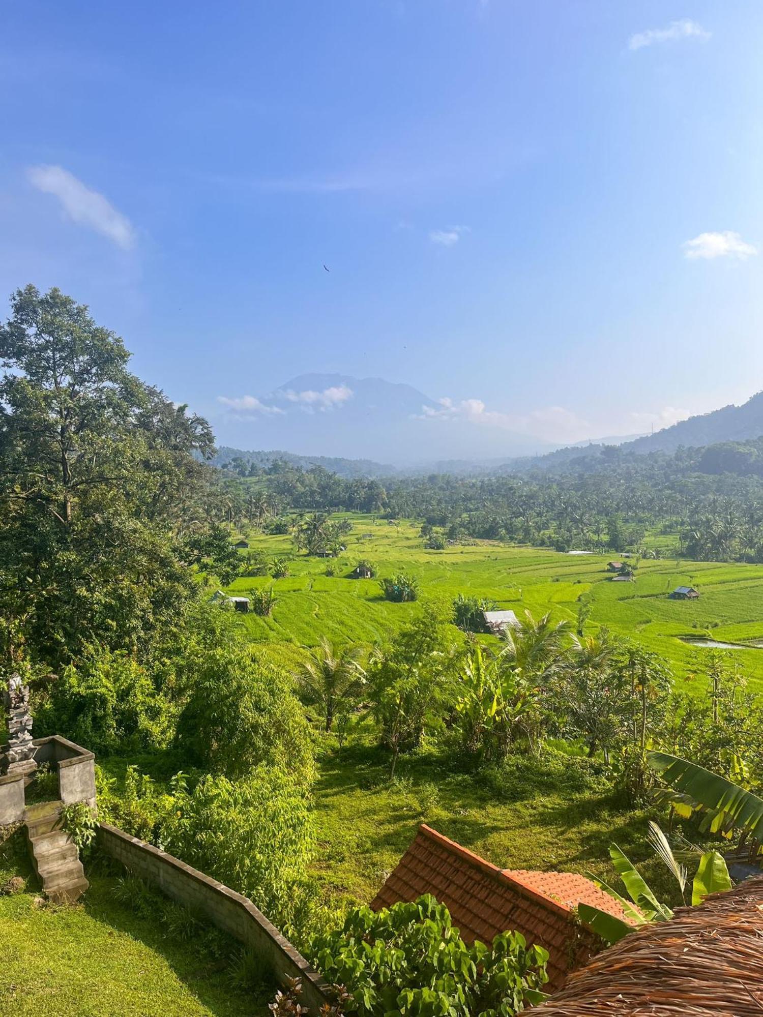 Villa Lumbung Ayu Sari & Spa Karangasem Extérieur photo